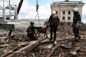 Холодний ніс, хоробре серце