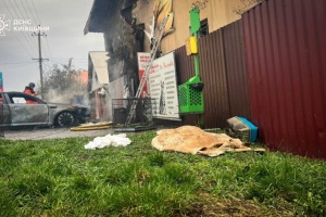 Як рятували чотирилапих у ветклініці на Київщині, де після удару РФ загинули близько 20 тварин