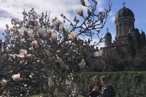 У неділю в Україні переважно без опадів, удень до +14°