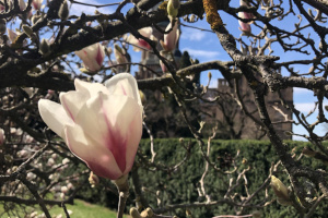 Hydrometeorological Center forecasts thunderstorms across Ukraine on Tuesday