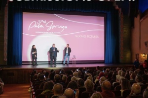 Кінофестиваль у Палм-Спрінгс оголосив прийом заявок