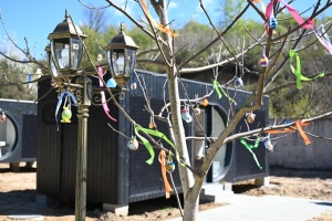 На Закарпатті запрацювало модульне містечко для дітей з прифронтових територій