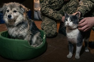 Воїни Князівської бригади врятували з передової кота і собаку за допомогою дрона
