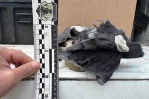 У Херсоні виявили нову «замасковану» міну з електронним керуванням