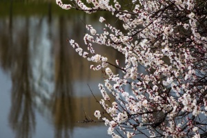 Україну у п'ятницю прогріє до +19°, дощитиме