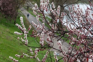 В Україні у середу переважно без опадів, уночі заморозки, вдень - до +13°