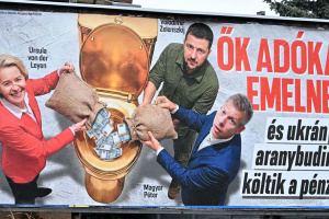 ЄС відкидає звинувачення у втручанні у вибори в Угорщині