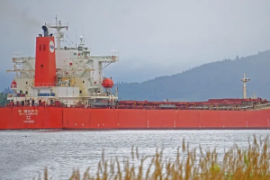 Sweden detains dry cargo ship en route from Russia