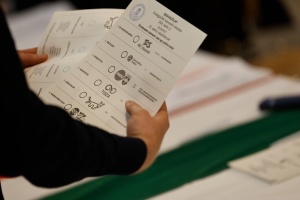 High turnout: Over 74% of voters cast ballots in Hungary