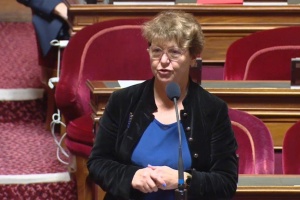 Французька сенаторка порушила проблему незаконного утримання українських цивільних у Росії