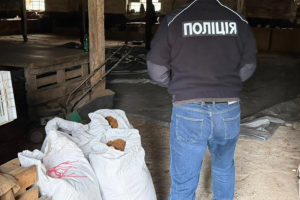 На Закарпатті викрили незаконний канал постачання тютюну до підпільних цехів