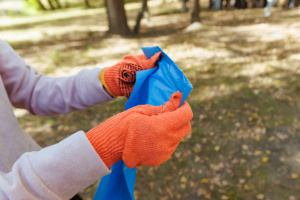 У Києві 18 квітня проведуть головну весняну толоку