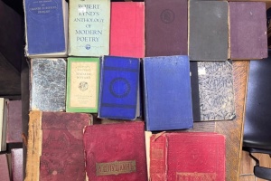 На Закарпатті митники запобігли незаконному вивезенню колекційних старовинних видань до ЄС