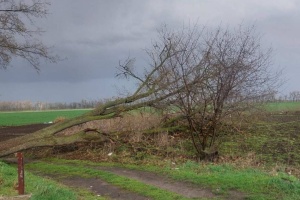 На Київщині через негоду без світла залишились понад 80 тисяч осель