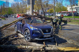 Mal tiempo en Ucrania: El viento derriba árboles sobre las carreteras y destroza una ambulancia
