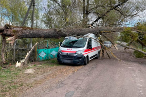 Mal tiempo en Ucrania: El viento derriba árboles sobre las carreteras y destroza una ambulancia 
