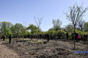 About 150 trees planted on Khortytsia in honor of fallen defenders