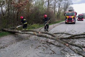 Severe weather in Ukraine leaves two dead, two injured