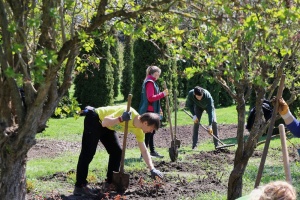 «Не без втрат, але вистояли»: як живе найстаріший ботсад України