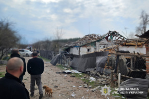 Environmental damage from shelling of Korosten in early April reaches nearly UAH 1 billion