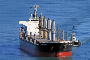 Україна відправила Ізраїлю пакет документів для арешту російського судна з викраденим зерном