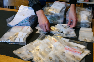 У Норвегії виявили рекордну кількість монет часів вікінгів