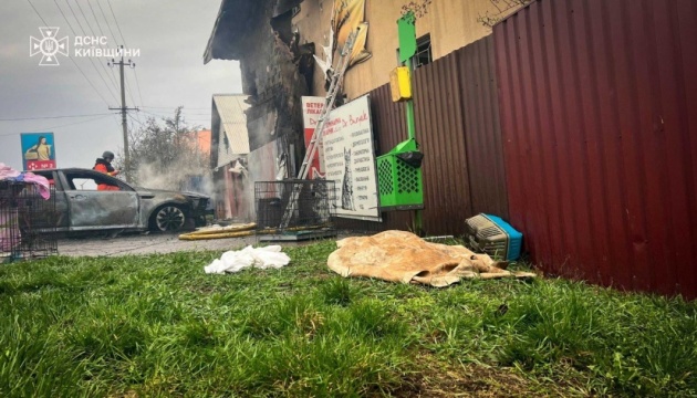 Як рятували чотирилапих у ветклініці на Київщині, де після удару РФ загинули близько 20 тварин