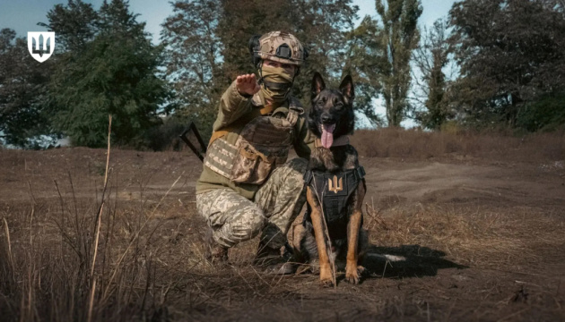 У Міноборони пояснили, які завдання виконує кінологічна служба ЗСУ