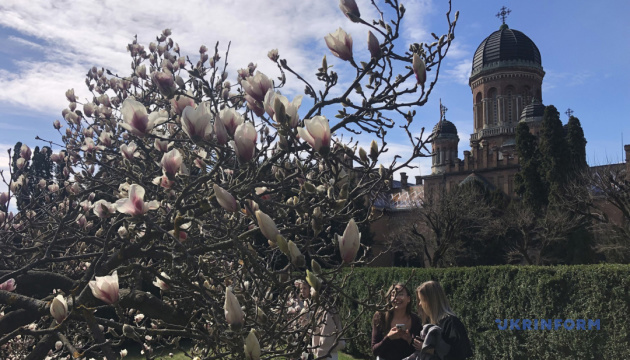 У неділю в Україні переважно без опадів, удень до +14°