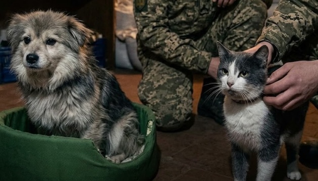 Воїни Князівської бригади врятували з передової кота і собаку за допомогою дрона