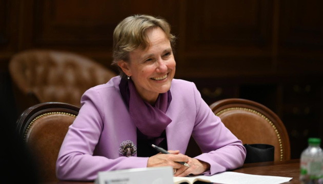 Обирати управителя для складних активів буде комісія при АРМА, яку очолила Фельдгузен