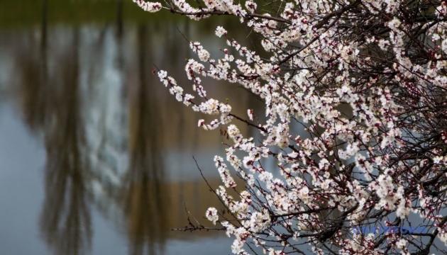 Синоптики попереджають про заморозки