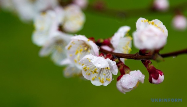 На Великдень в Україні дощитиме, вдень - до 14° тепла
