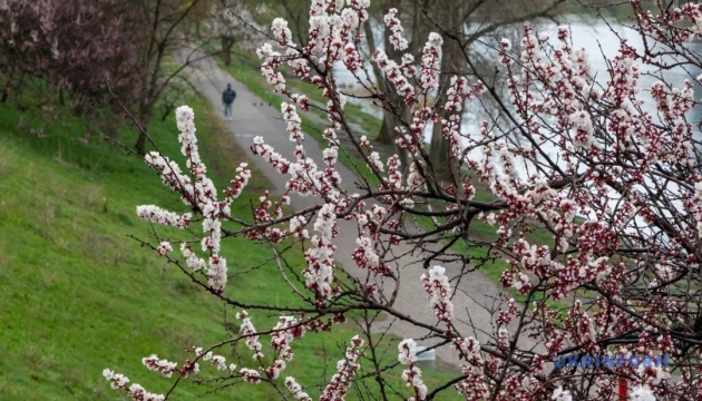 В Україні у середу переважно без опадів, уночі заморозки, вдень - до +13°
