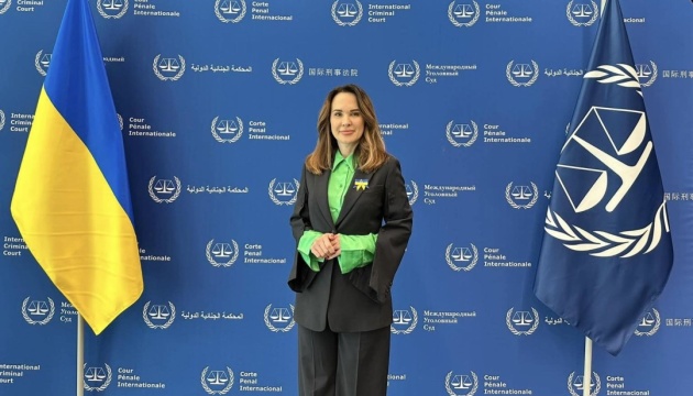 Україна проводить процедуру висунення кандидата до МКС у межах установлених строків - Мудра