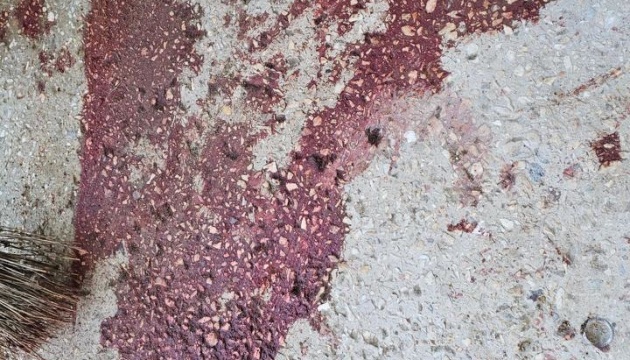 ロシア軍、ヘルソン中心部の病院を無人機で攻撃　職員４人が負傷