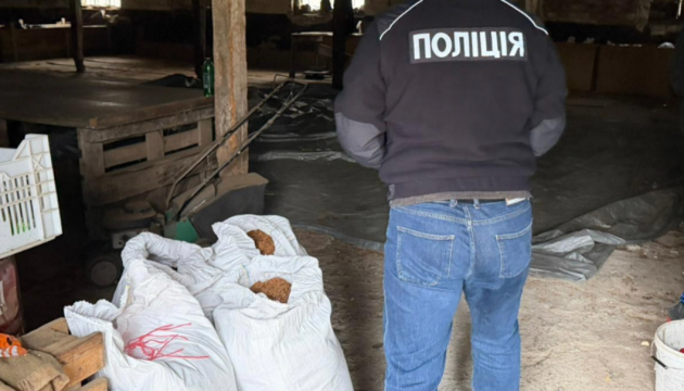 На Закарпатті викрили незаконний канал постачання тютюну до підпільних цехів