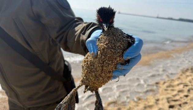 На узбережжі Чорного моря в Одеській області виявили забруднення