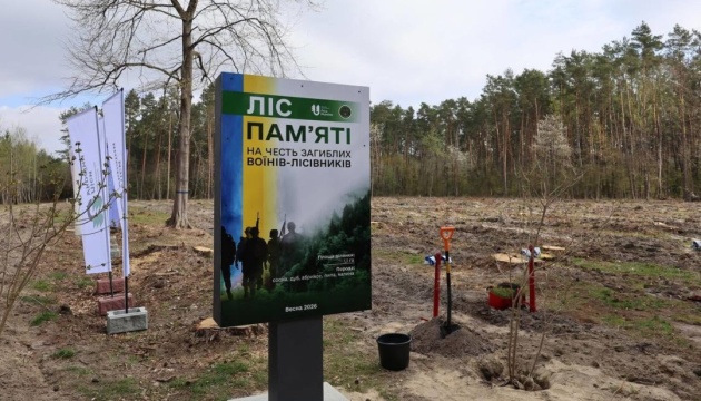 На Волині латвійські лісівники та волонтери долучилися до створення міжнародного «Лісу пам’яті»