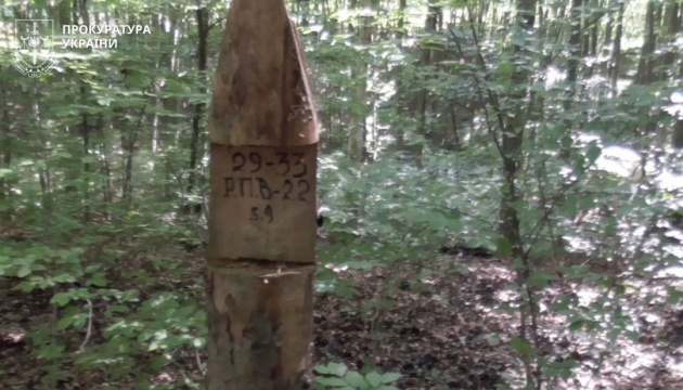 Прокуратура вимагає відшкодування рекордних майже ₴387 мільйонів через незаконну рубку у лісах Карпат