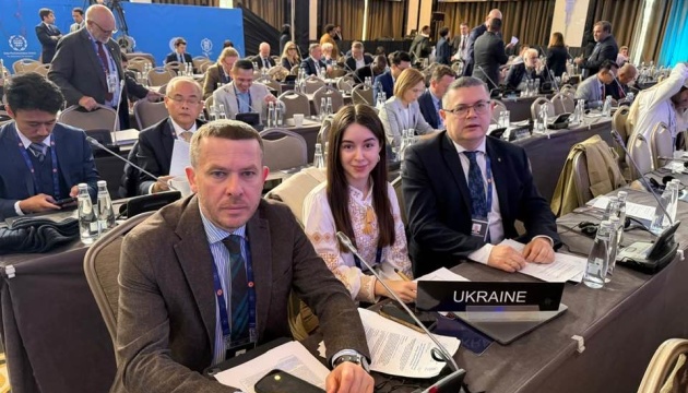 Українська делегація домоглася включення до резолюції МПС засудження викрадення дітей та агресії РФ - Мережко