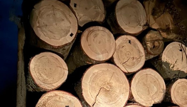 На Буковині викрили незаконну вирубку дерев у нацпарку