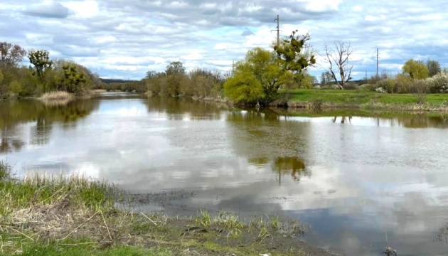 На Харківщині зафіксували масову загибель риби у Сіверському Донці