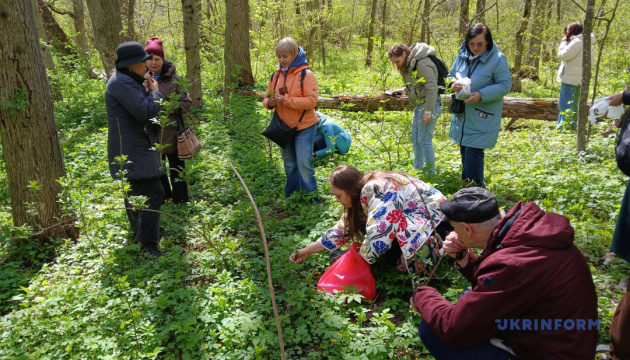 Десерт із сенсами, калатуша й бадзьорка