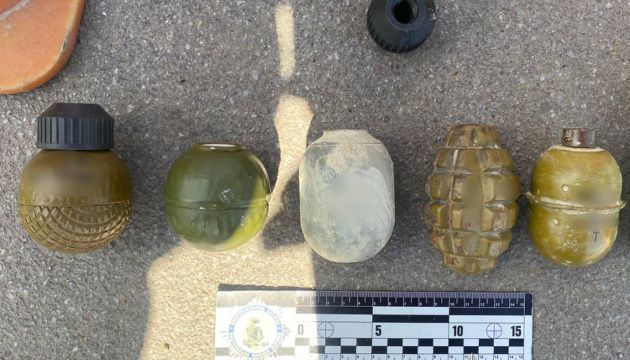 На Вінниччині поліцейські вилучили у водія автівки шість гранат