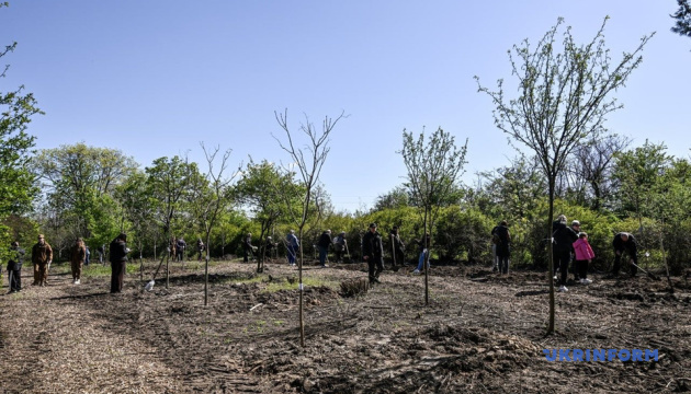 About 150 trees planted on Khortytsia in honor of fallen defenders