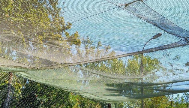 У передмісті Херсона сильний вітер пошкодив антидронові конструкції