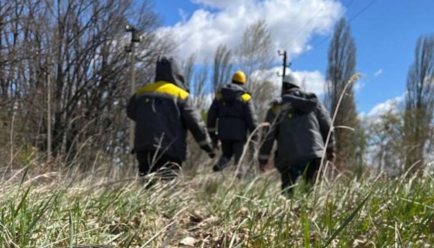 На Київщині сильний вітер повалив дерева - знеструмлені 30 ліній електропередачі