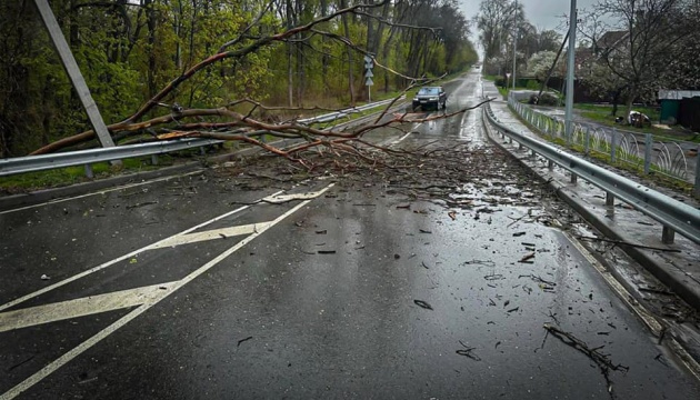 Через негоду 111 населених пунктів в Україні залишаються без світла