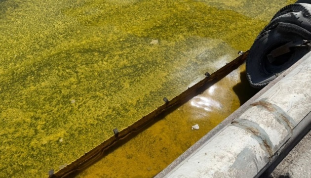 Area of oil pollution in Black Sea reaches nearly 800 square kilometers after Russian attack — ecologist